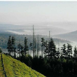 Meet your Posher, Bob